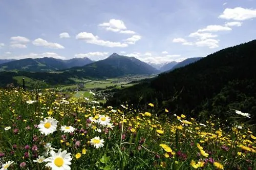 酒店 Garni Ransburgerhof 弗拉绍